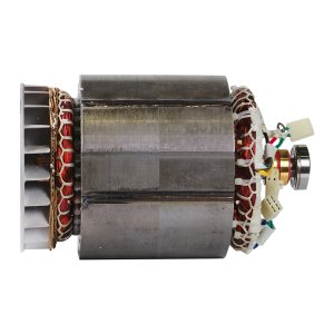 Альтернатор в сборе (ротор+статор) для DS 7000 DA ES (641695)