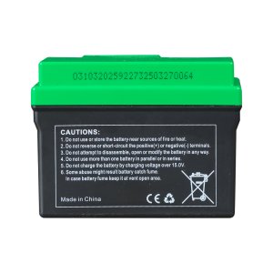 Аккумулятор FUBAG li-ion 3Ah для инверторного генератора TI 11000 A ES (арт. 646211) купить в Новокузнецке