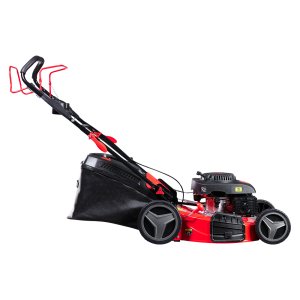 Газонокосилка бензиновая самоходная FUBAG FPL 56 SM в Новокузнецке фото