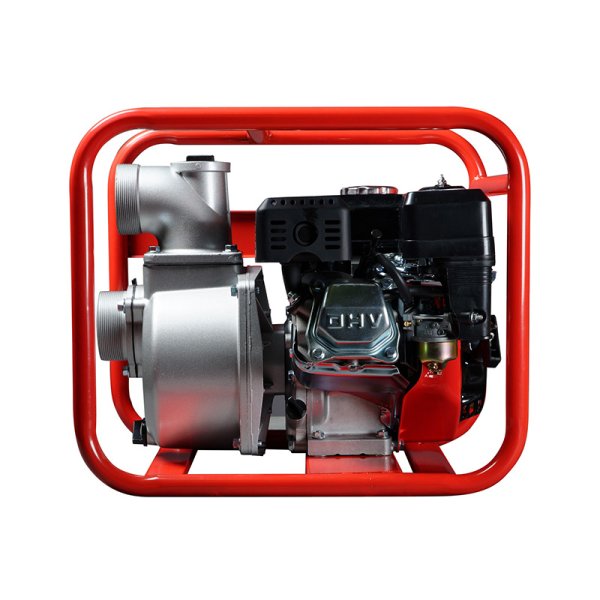 FUBAG Бензиновая мотопомпа для чистой воды PG 1000 в Новокузнецке фото