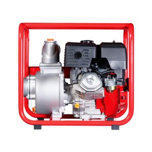 FUBAG Бензиновая мотопомпа для чистой воды PG 1600 в Новокузнецке фото