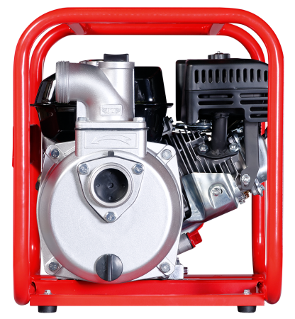 FUBAG Бензиновая мотопомпа для чистой воды PG 600 в Новокузнецке фото