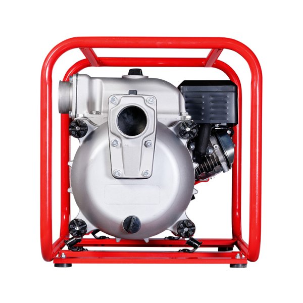 FUBAG Бензиновая мотопомпа для сильнозагрязненной воды PG 1300 T в Новокузнецке фото